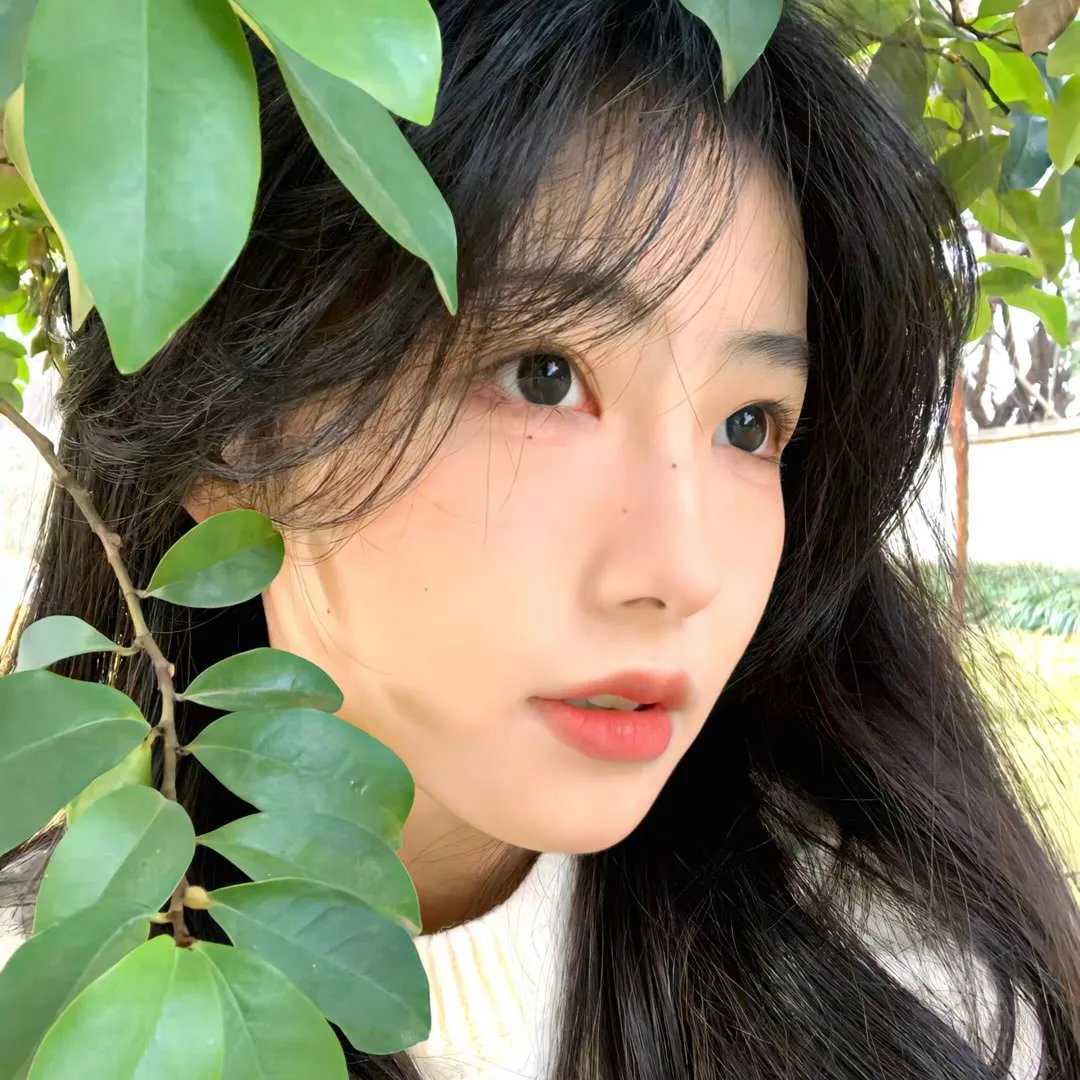 新月圆花残断肠时